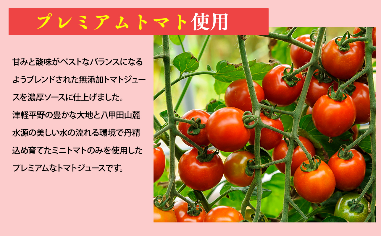 トマト煮込みハンバーグ160g×5 【平川市産原料使用】