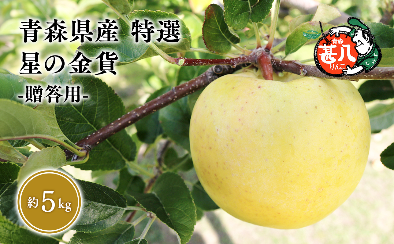 １１月発送　特選　甚八りんご星の金貨5kg　【マルジンサンアップル　11月　青森県産　平川市　りんご　星の金貨　5kg　特選　贈答用】