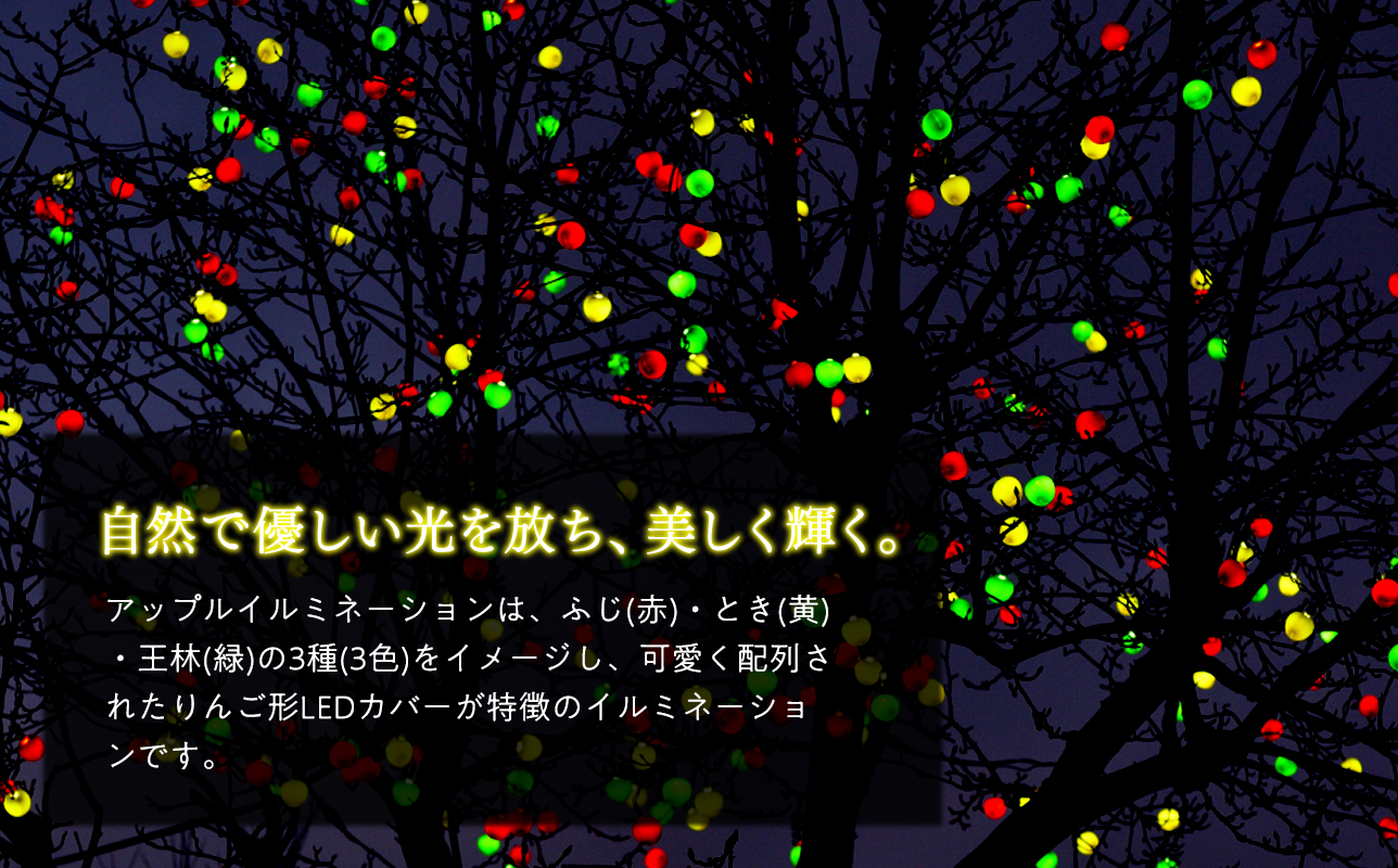 アップルイルミネーション（コントローラ付き・コード2m×3個）【LED】