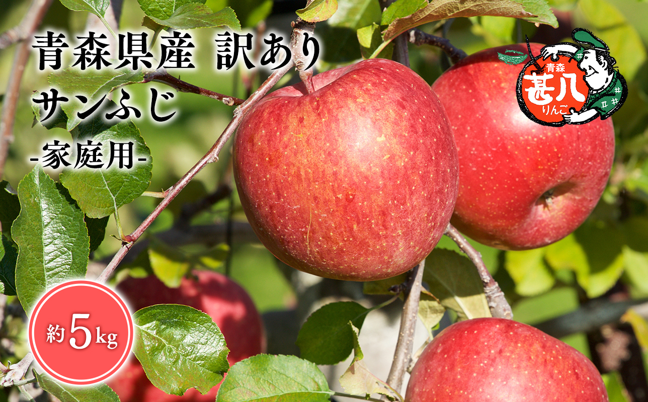 ４月発送　訳あり　家庭用　甚八りんごサンふじ５kg　【青森県 平川市 マルジンサンアップル】４月発送 青森 青森県産 平川 りんご リンゴ 林檎 くだもの 果物 フルーツ