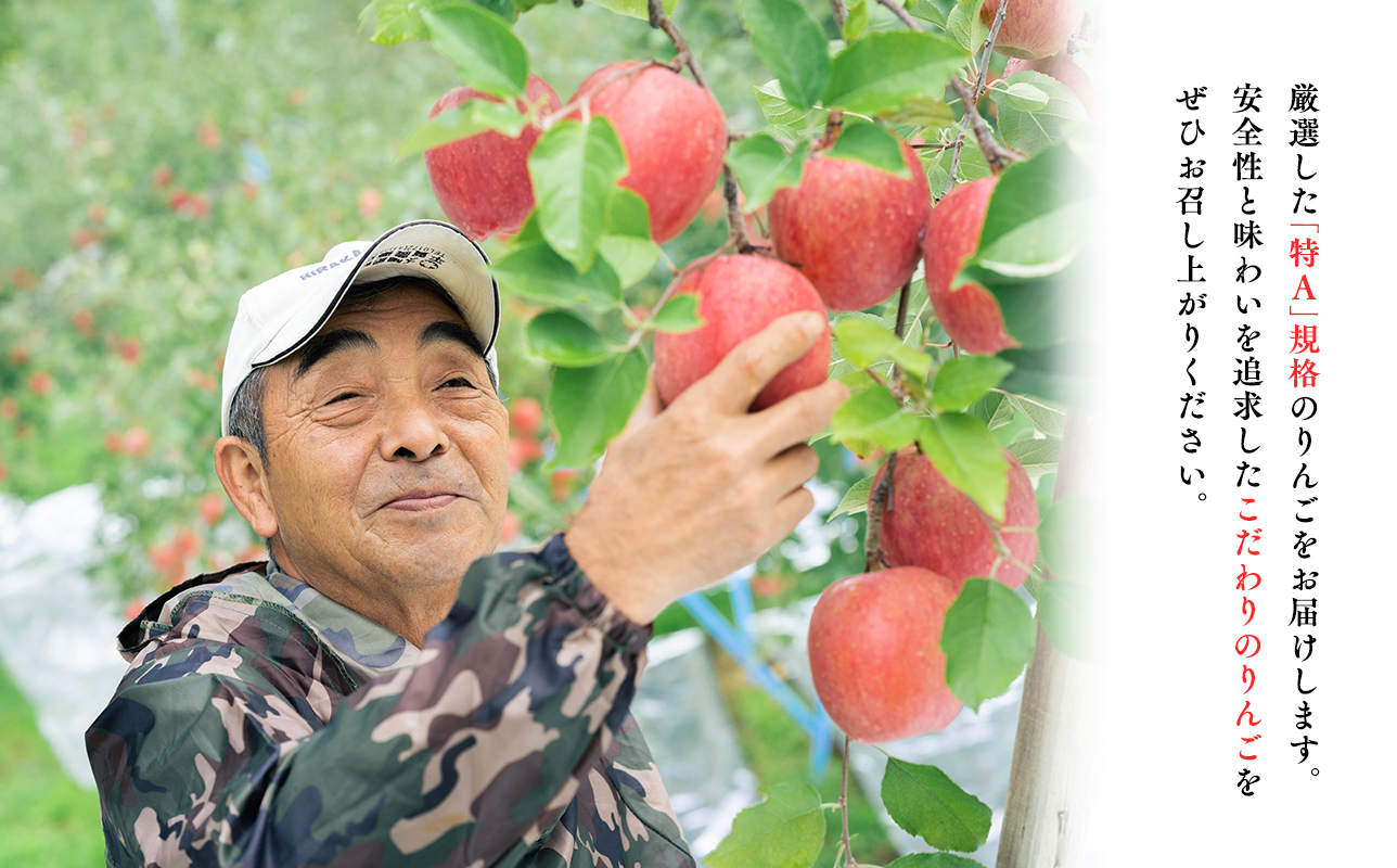 年明け 贈答規格 広船の大玉金星約3kg「特A」【広船アップルクラブ　平川市広船産　青森りんご　1月　2月】1月30日申込締め切り