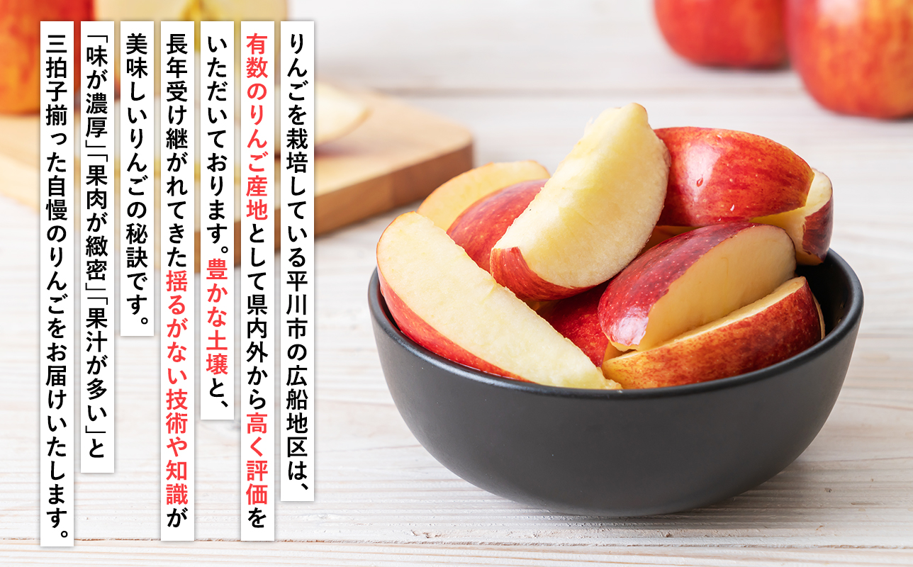 【2026年1~3月発送】 吹田りんご園 山の完熟サンふじ約5kg 【吹田りんご園・青森りんご・平川市広船産・1月・2月・3月】