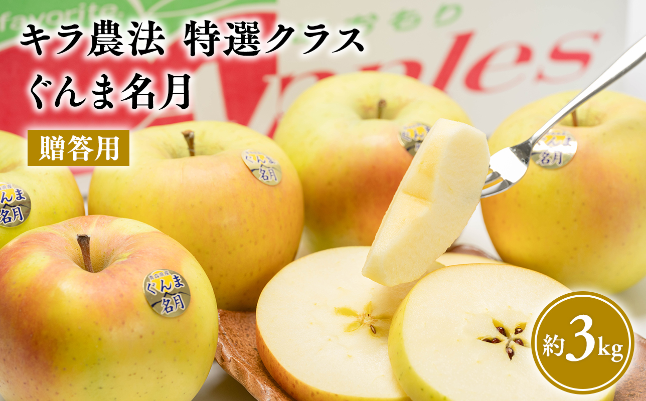 【2025年産 先行受付】11〜12月 贈答用 キラ農法 特選クラス 完熟りんご ぐんま名月約3kg 【青森りんご・平川市広船産・11月・12月】