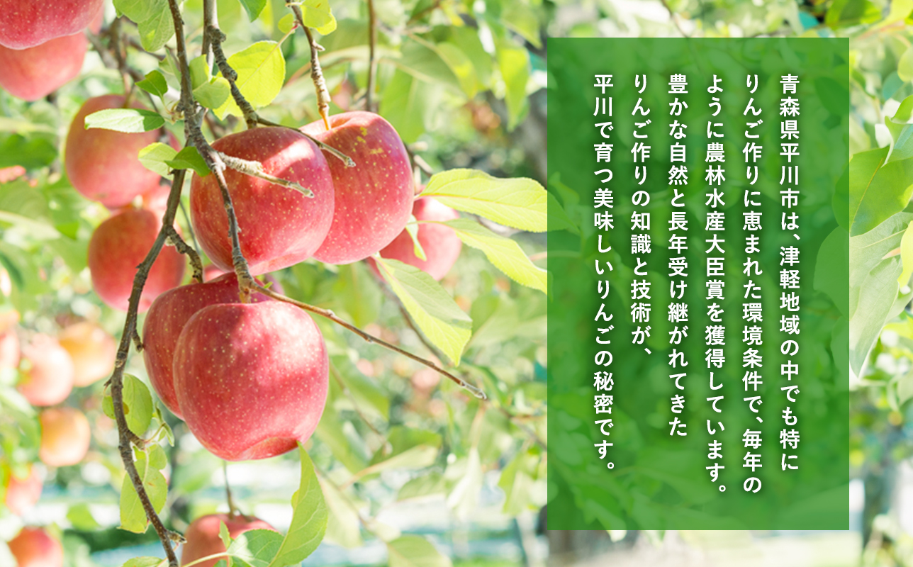 年明け 最高級「特選」  糖度選別サンふじ約10kg 【JA津軽みらい・平川市産・青森りんご・1月・2月】