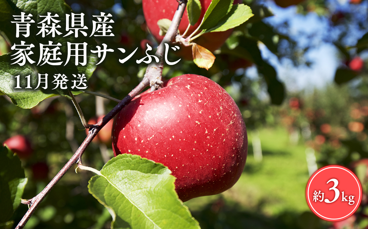 ≪11月発送≫【訳あり】家庭用 サンふじ3㎏【青森県 平川市 丸勝木村商店】平川市産 青森りんご りんご リンゴ 林檎 ふじ 訳あり 家庭 わけあり お取り寄せ 先行予約 果物 くだもの フルーツ