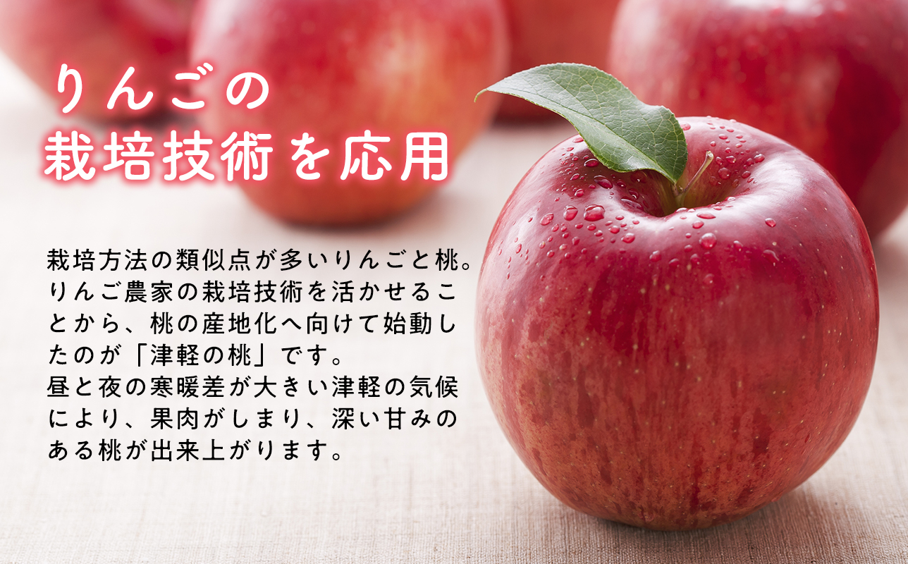 津軽のフルーツビネガー もも酢275ml×1本