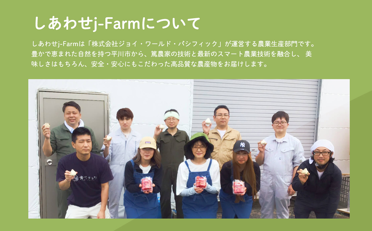 しあわせj-Farm しあわせ黒にんにく 100g×4P