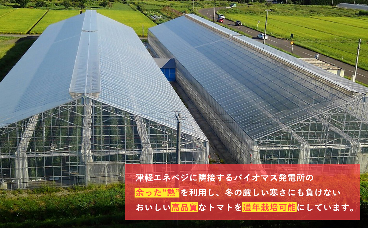再生可能エネルギー生まれ 高糖度ミニトマトジュース500ml×3本