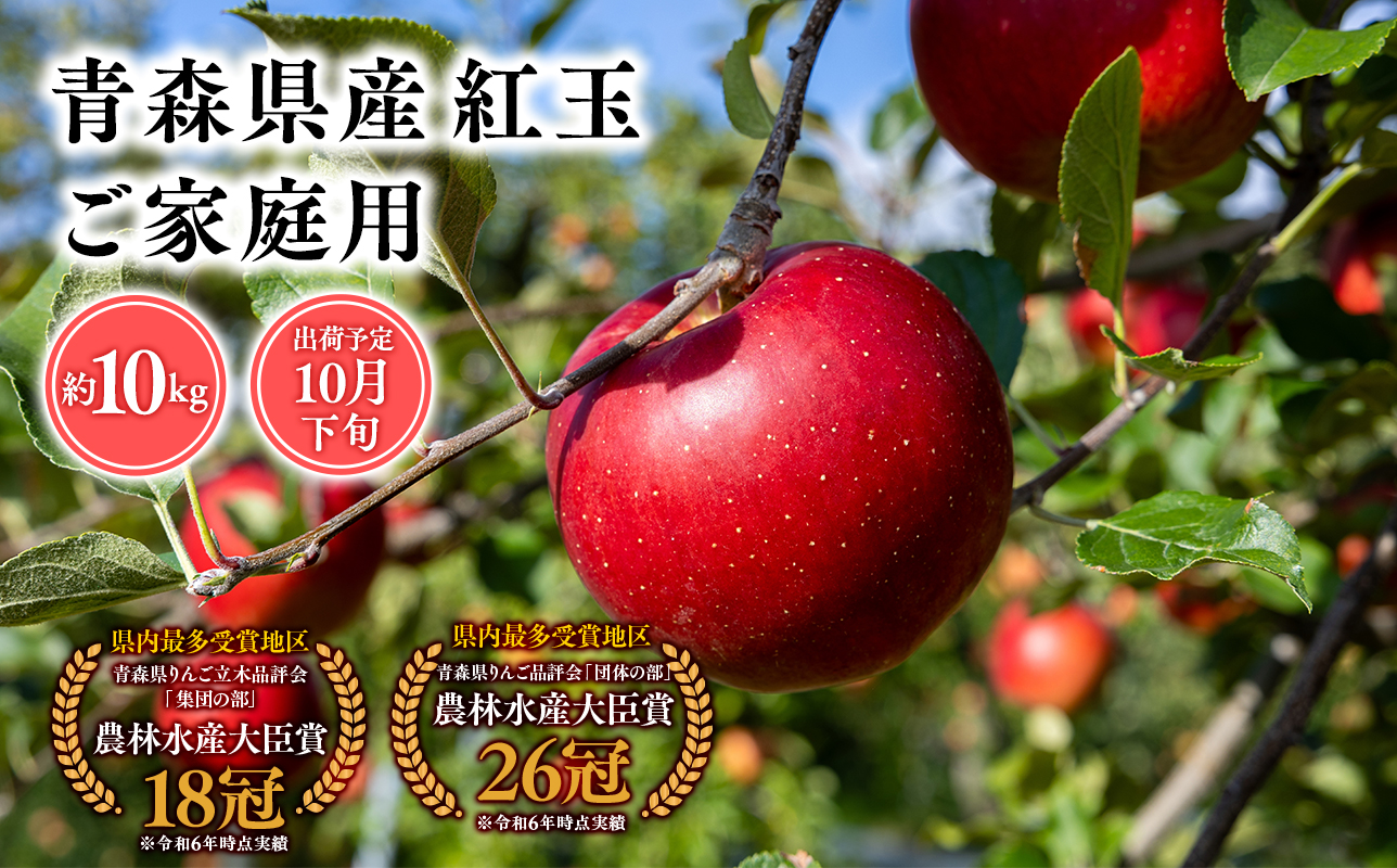 2025年産１０月発送　【訳あり】家庭用紅玉10ｋｇ　【そと川りんご園・１０月・青森県産・平川市・りんご・紅玉・10ｋｇ・訳あり・家庭用】