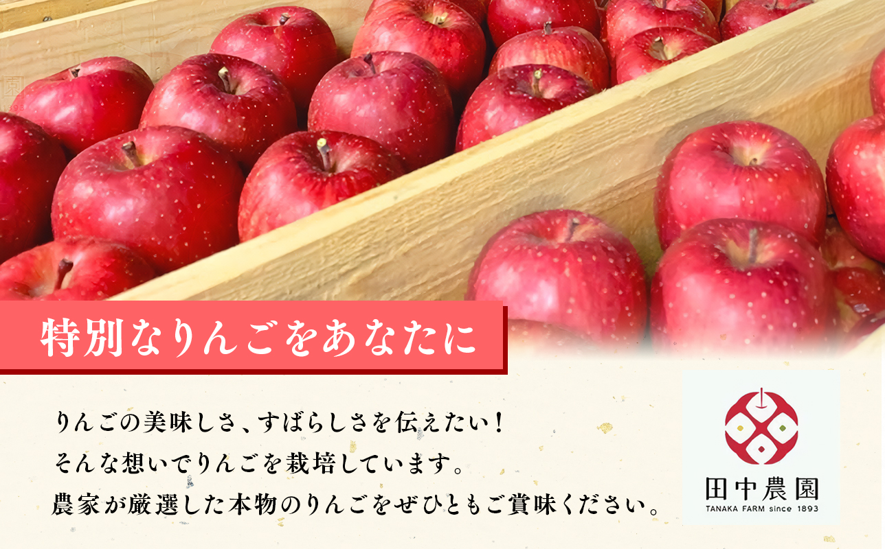 12月 100年の歴史 贈答規格サンふじ 約5kg【田中農園・青森県平川市産・青森りんご】