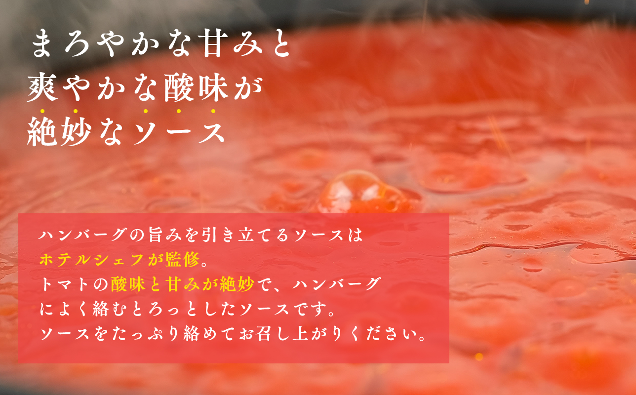 トマト煮込みハンバーグ160g×5 【平川市産原料使用】
