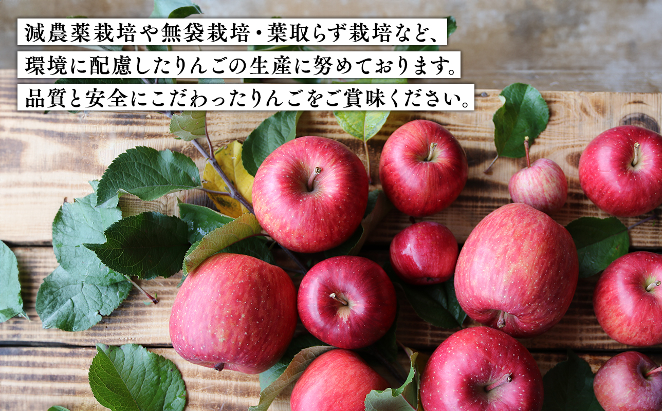 青森県産りんご100％！りんごジュース「太陽mini」180?　５本入【青森県 平川市 そと川りんご園】青森 青森県産 平川 ジュース リンゴジュース 林檎ジュース フルーツジュース 
