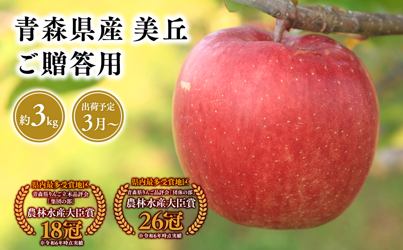 2025年産 ３月発送　贈答用美丘3kg【青森県 平川市 そと川りんご園】３月発送 贈答 青森 青森県産 平川 りんご リンゴ 林檎 くだもの 果物 フルーツ