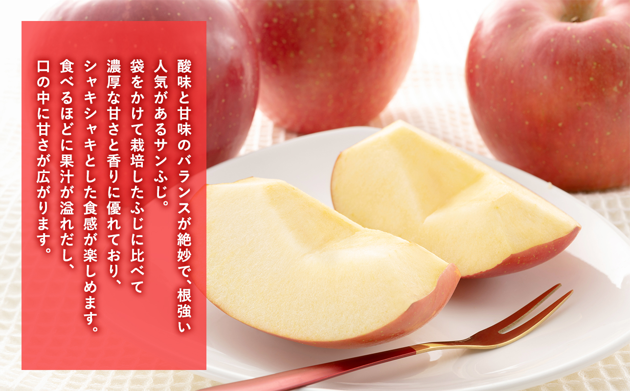 年明け 糖度選別サンふじ約5kg 【JA津軽みらい・平川市産・青森りんご・1月・2月】