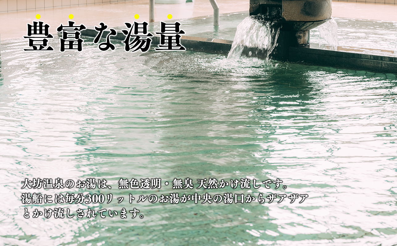 大坊温泉 入浴券12枚綴り1冊