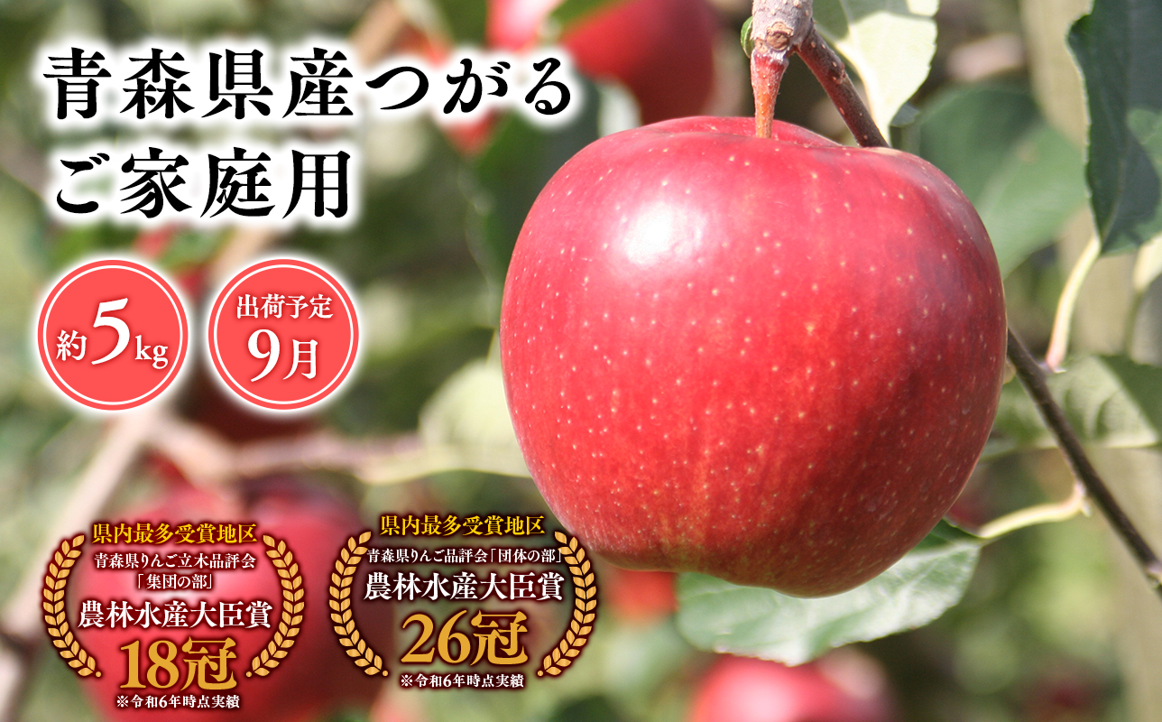 2025年産9月発送　【訳あり】家庭用つがる5ｋｇ　【そと川りんご園・9月・青森県産・平川市・りんご・つがる・5ｋｇ・訳あり・家庭用】