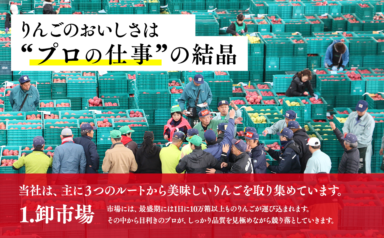 【5月発送開始】隔月配送　定期便3回　訳あり　家庭用　甚八りんご　5kg　【青森県 平川市 マルジンサンアップル】1月 3月 5月 7月 9月 11月 青森 青森県産 平川 りんご リンゴ 林檎 くだもの 果物 フルーツ [hi-0058-098-2025]