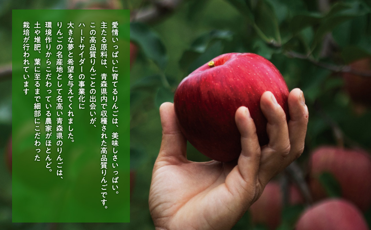 りんごの果実酒 CRAZY CIDER（クレイジーサイダー・ドライ：アルコール度数7％）330ml×3本セット