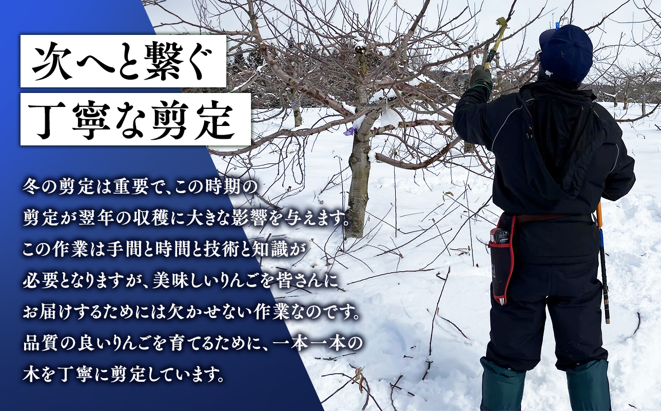 4月発送 【訳あり】旬のりんご詰め合わせ5kg【りんご・青森・平川・訳あり・家庭用・宮川商店・11月・12月・1月・2月・3月・4月】