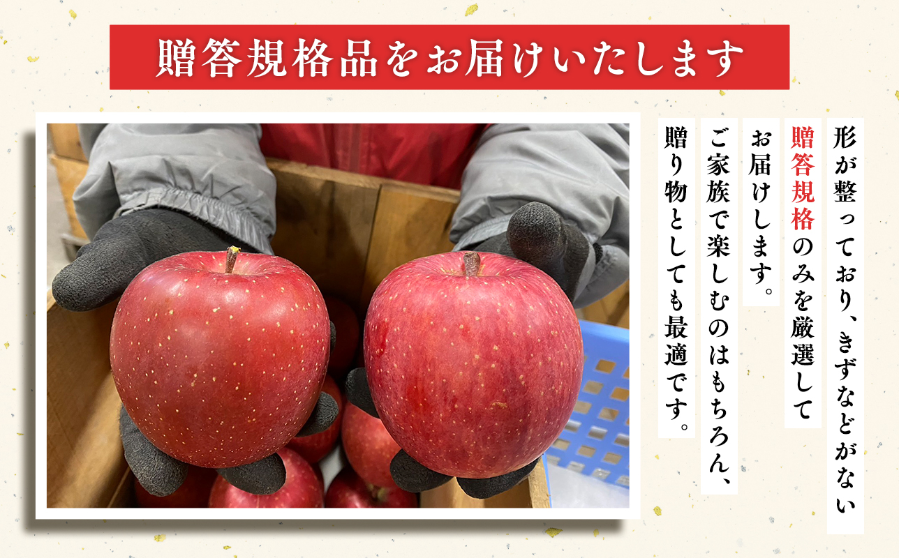 12月 100年の歴史 贈答規格サンふじ 約5kg【田中農園・青森県平川市産・青森りんご】