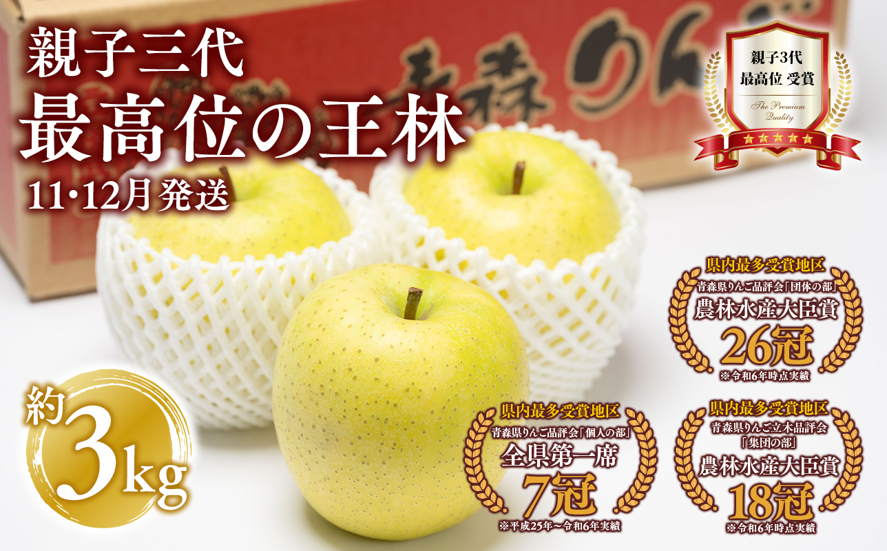 【11月・12月発送】 親子三代最高位の王林 約3kg【全国ふじコンテスト最高賞受賞農園・平川市広船産りんご】