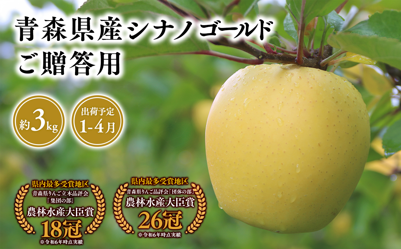 2025年産 １月〜４月発送　贈答用シナノゴールド3ｋｇ　【そと川りんご園・１月・２月・３月・４月・青森県産・平川市・りんご・シナノゴールド・3ｋｇ・贈答用】