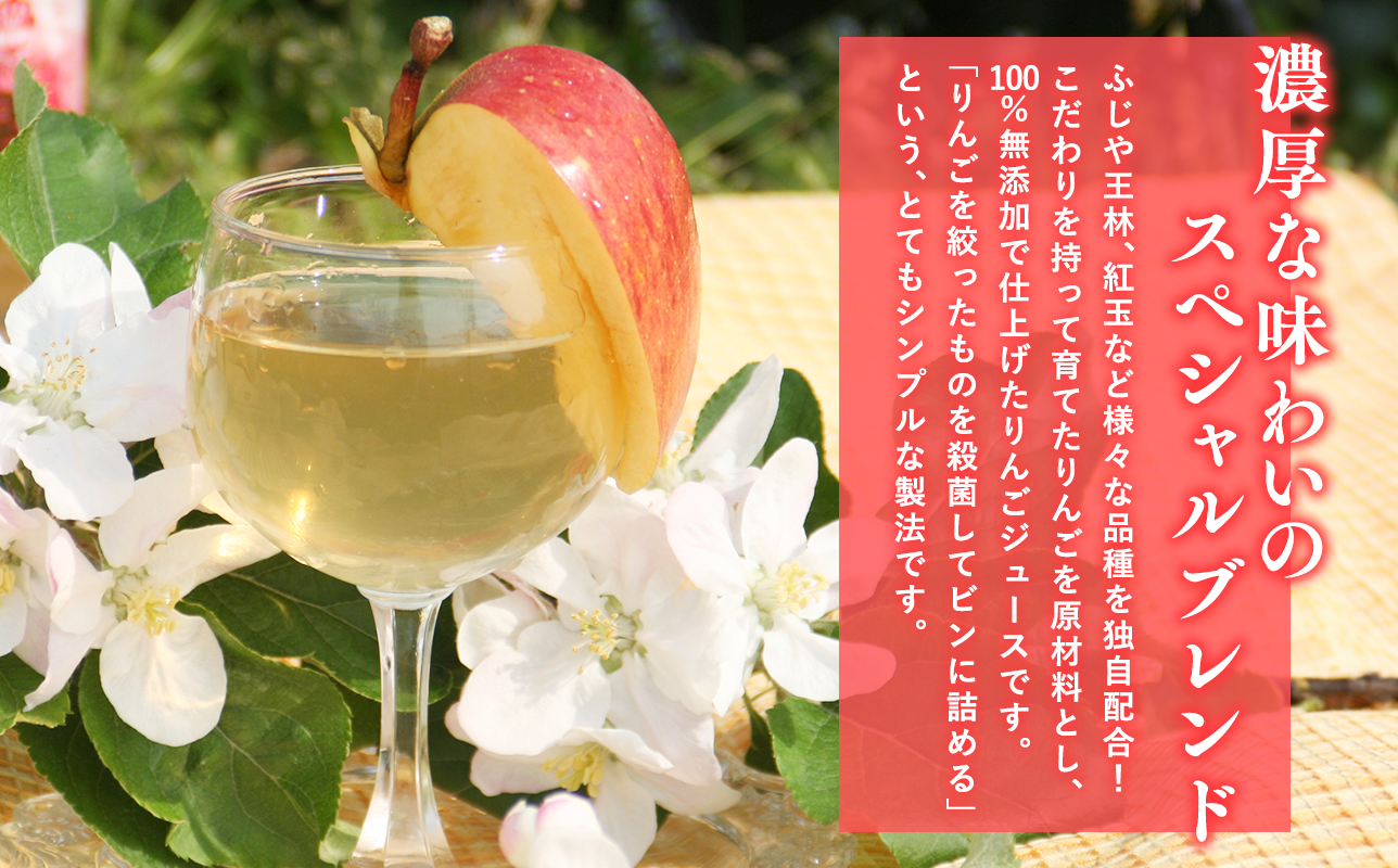 青森県産 無添加りんごジュース1L×6本【青森　平川市　そと川りんご園　平川市産りんご】