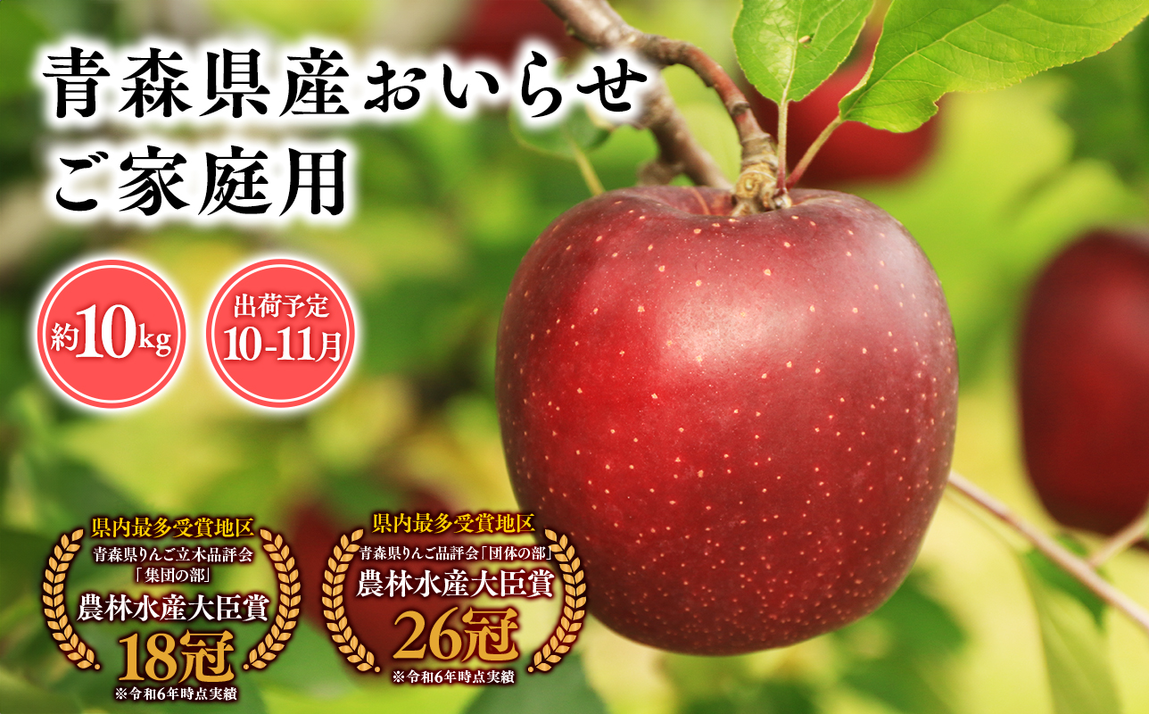 2025年産 １０月・１１月発送　【訳あり】家庭用おいらせ10ｋｇ　【そと川りんご園・１０月・１１月・青森県産・平川市・りんご・おいらせ・10ｋｇ・訳あり・家庭用】