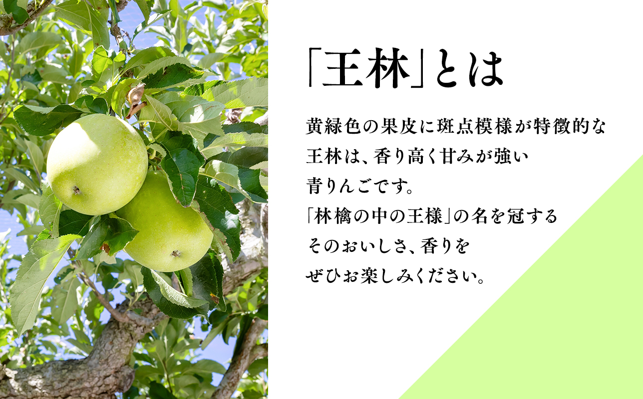 年明け サンふじ×王林約5kg 【JA津軽みらい・平川市産・青森りんご・1月・2月】