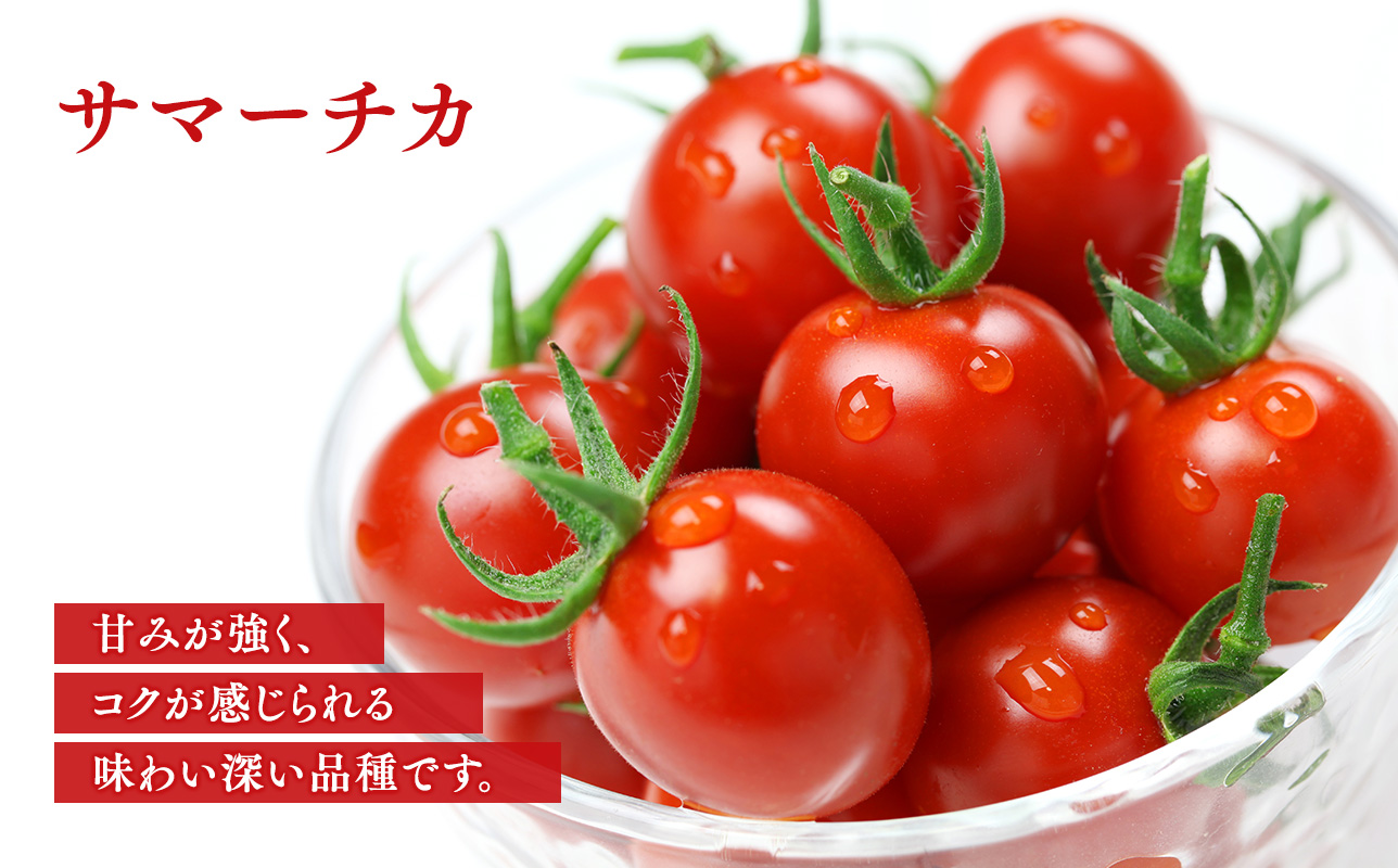 無添加 プレミアムトマトジュース 720ml×1本