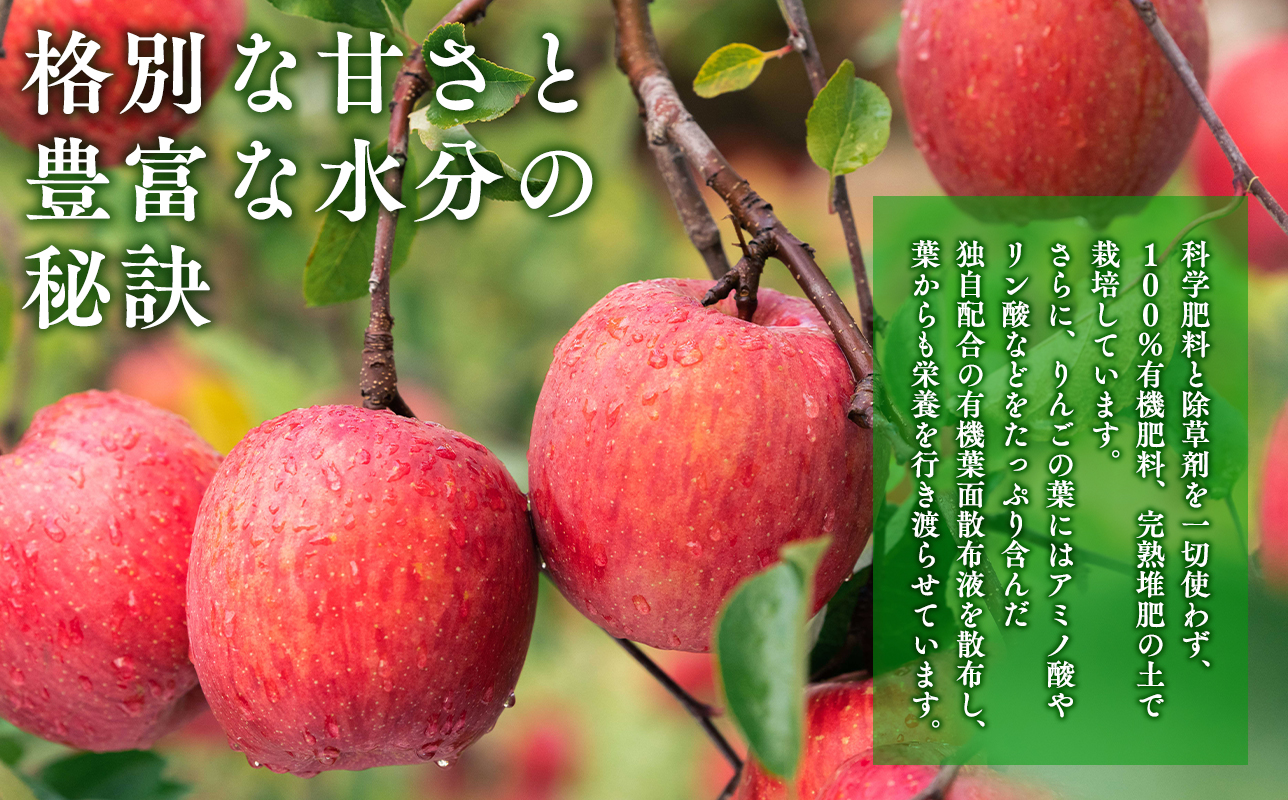 【1月発送】 親子三代最高位のサンふじ約5kg【全国ふじコンテスト最高賞受賞農園・平川市広船産りんご】