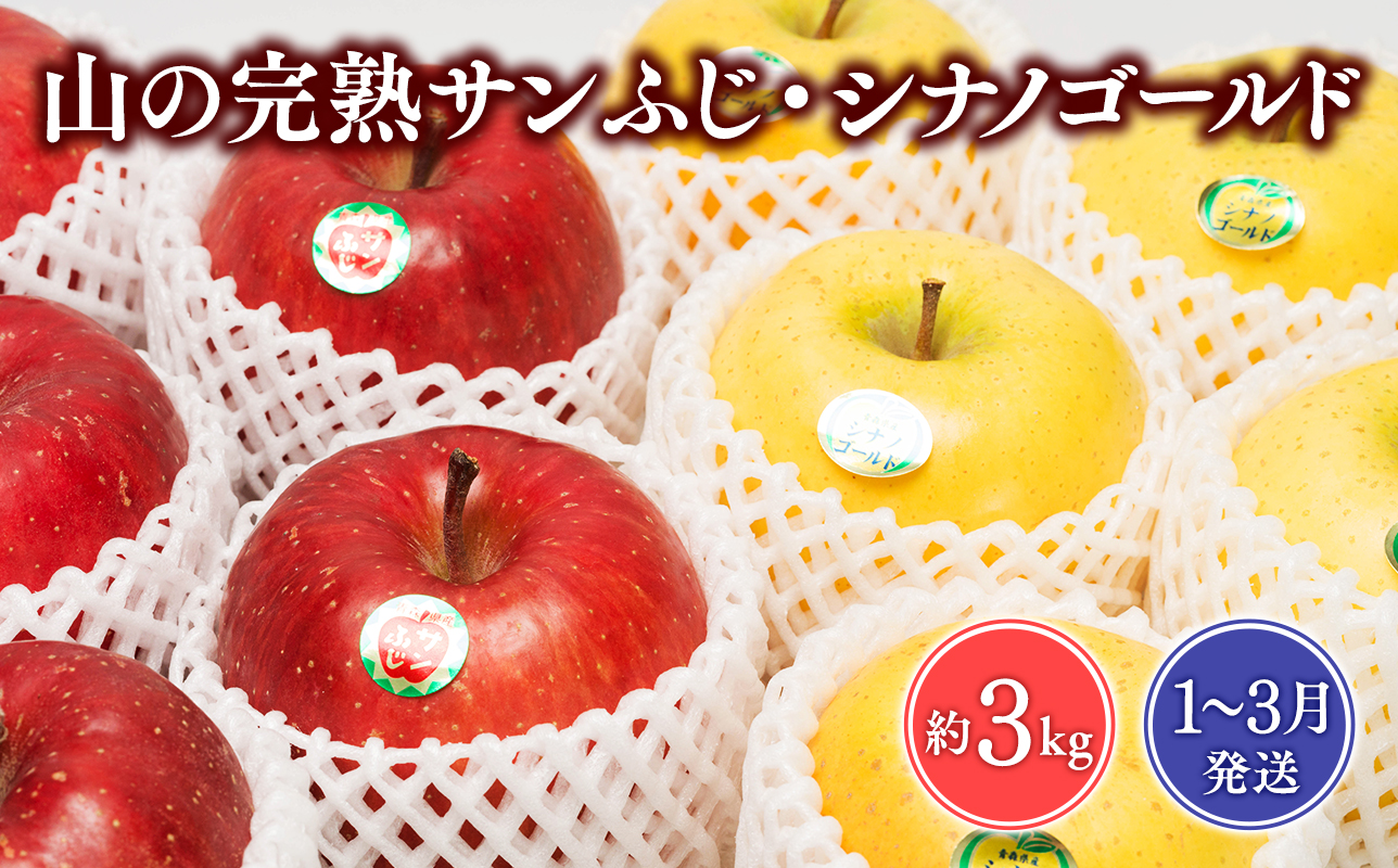 【2026年1~3月発送】 吹田りんご園 山の完熟サンふじ・シナノゴールド約3kg 【吹田りんご園・青森りんご・平川市広船産・1月・2月・3月】