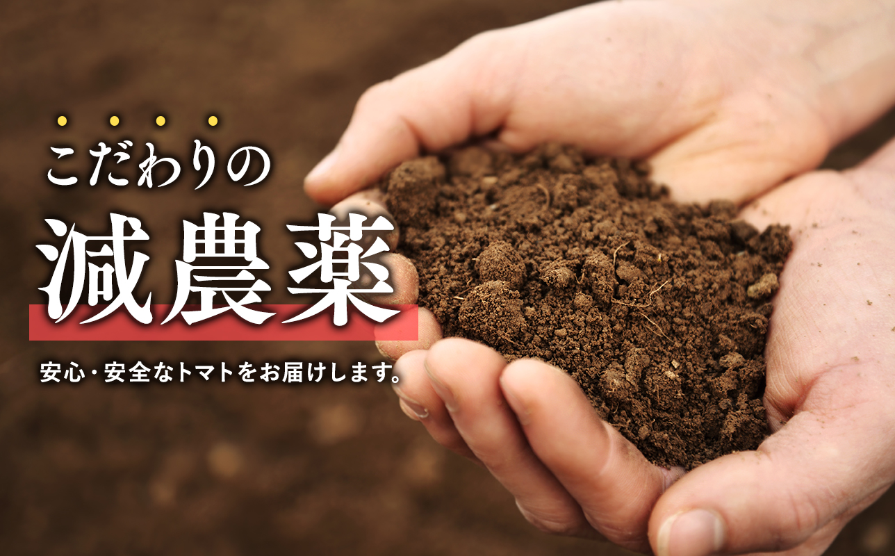 再生可能エネルギー生まれ 高糖度ミニトマトジュース500ml×3本