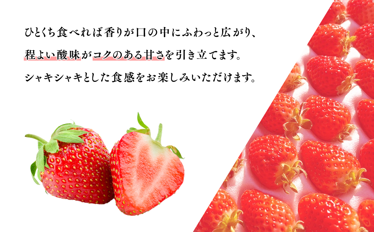 2025年産 いちご よつぼし 約200ｇ×4パック