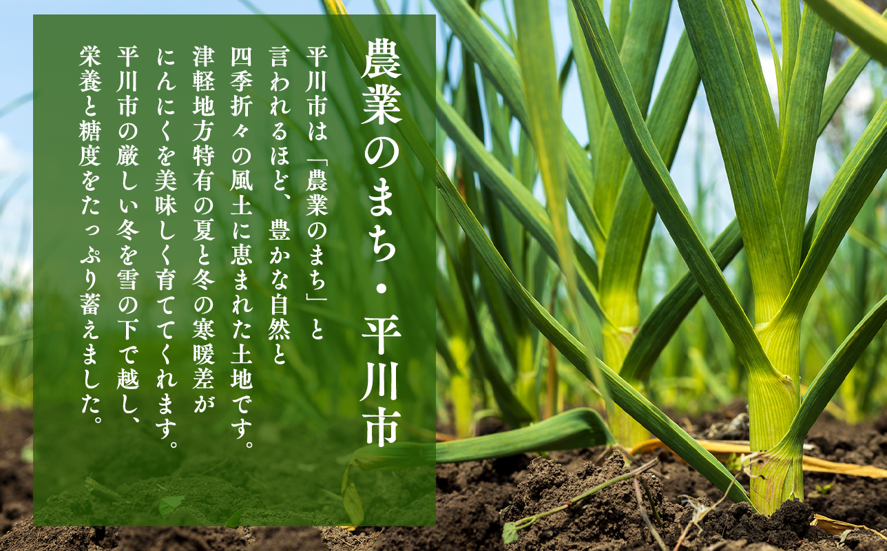 わのたれ（焼き肉のたれ）170ｇ×12本セット
