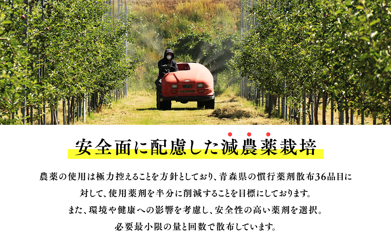 青森県産りんご使用　ジャム＆バター＆りんごジュースセット 【青森県 平川市 そと川りんご園】