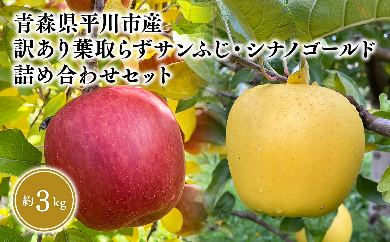 12月上旬〜発送 訳あり 葉とらずサンふじ・シナノゴールド詰め合わせセット約3kg(家庭用)[なるみ農園・青森りんご・平川市産・詰め合わせ・数量限定]