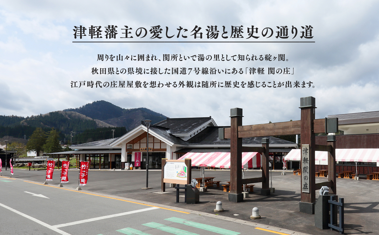 青森県産りんご使用！ごろっと林檎カレー（レトルト）×3個