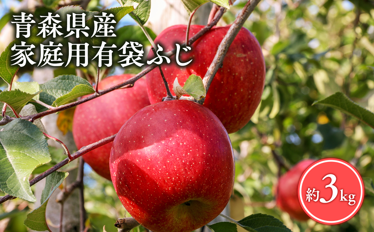 【5月〜6月発送】家庭用有袋ふじ３kg【丸勝木村商店・青森りんご】