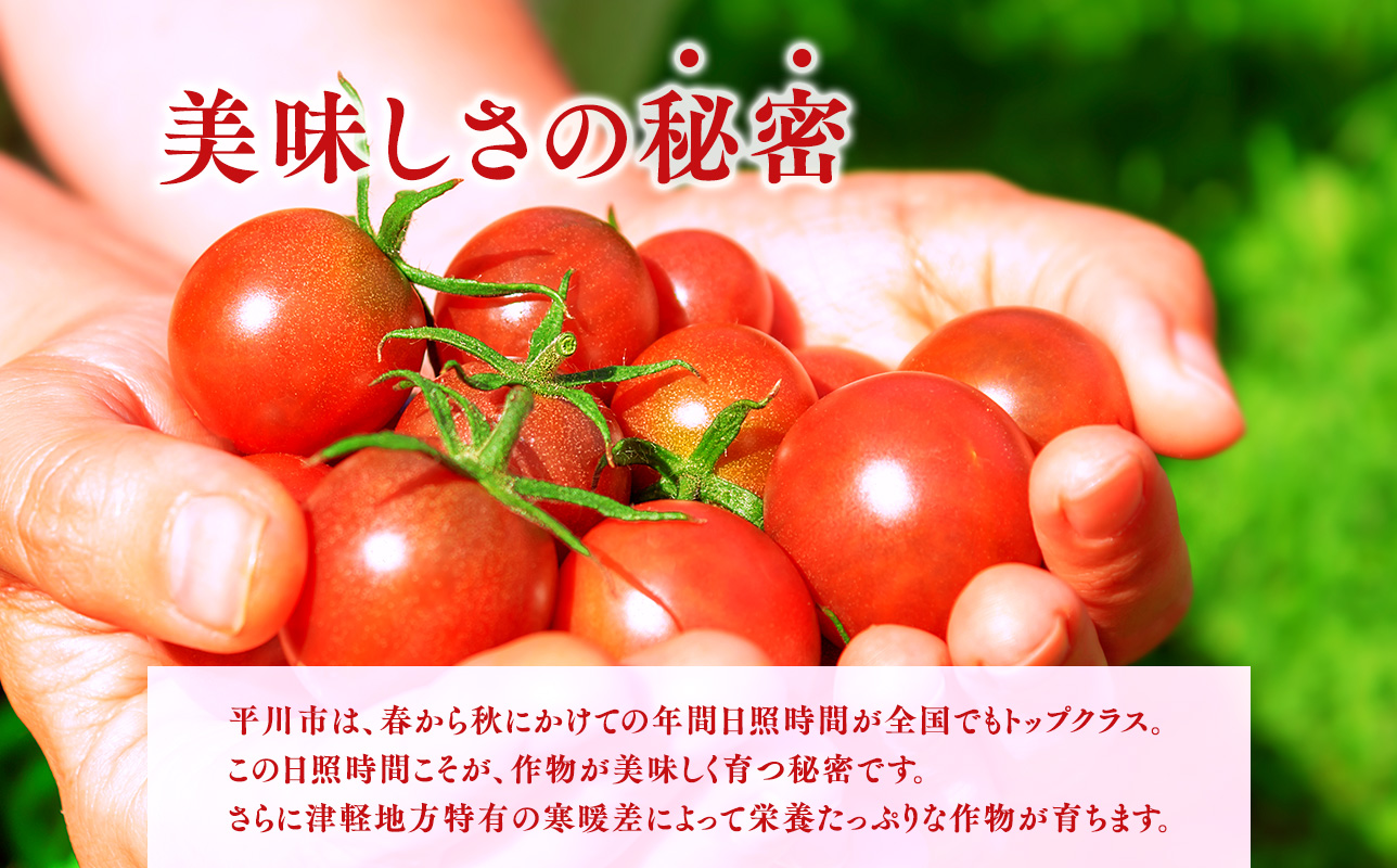 無添加 プレミアムトマトジュース 720ml×1本