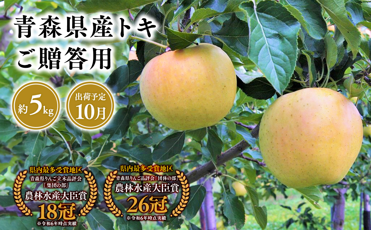 2025年産１０月発送　贈答用トキ5ｋｇ　【そと川りんご園・１０月・青森県産・平川市・りんご・トキ・5ｋｇ・贈答用】