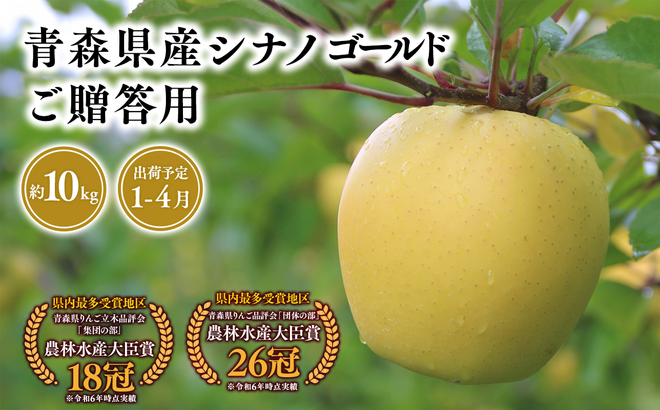 2025年産 １月〜４月発送　贈答用シナノゴールド10ｋｇ　【そと川りんご園・１月・２月・３月・４月・青森県産・平川市・りんご・シナノゴールド・10ｋｇ・贈答用】