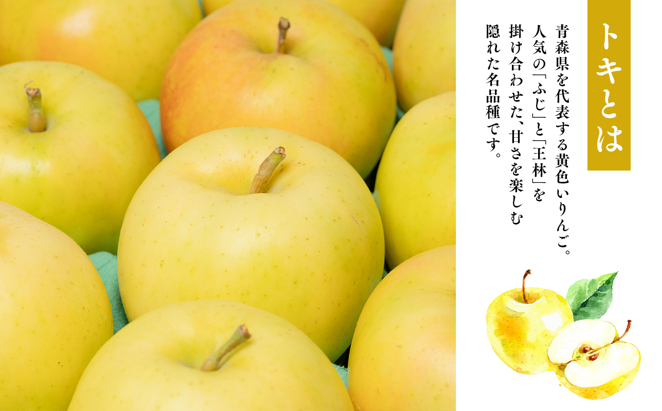 年内発送 【訳あり】家庭用 トキ 約5kg【那由多のりんご園・平川市産】