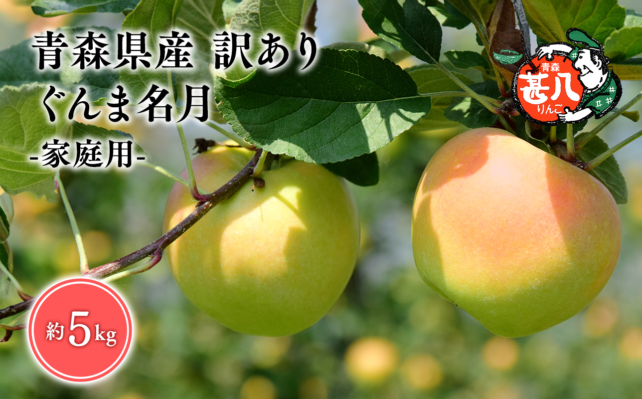 １１月発送　訳あり　家庭用　甚八りんごぐんま名月5kg　【マルジンサンアップル　11月　青森県産　平川市　りんご　ぐんま名月　5kg　訳あり　家庭用】