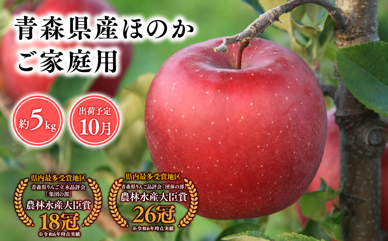 2025年産１０月発送　【訳あり】家庭用ほのか5ｋｇ　【そと川りんご園・１０月・青森県産・平川市・りんご・ほのか・5ｋｇ・訳あり・家庭用】