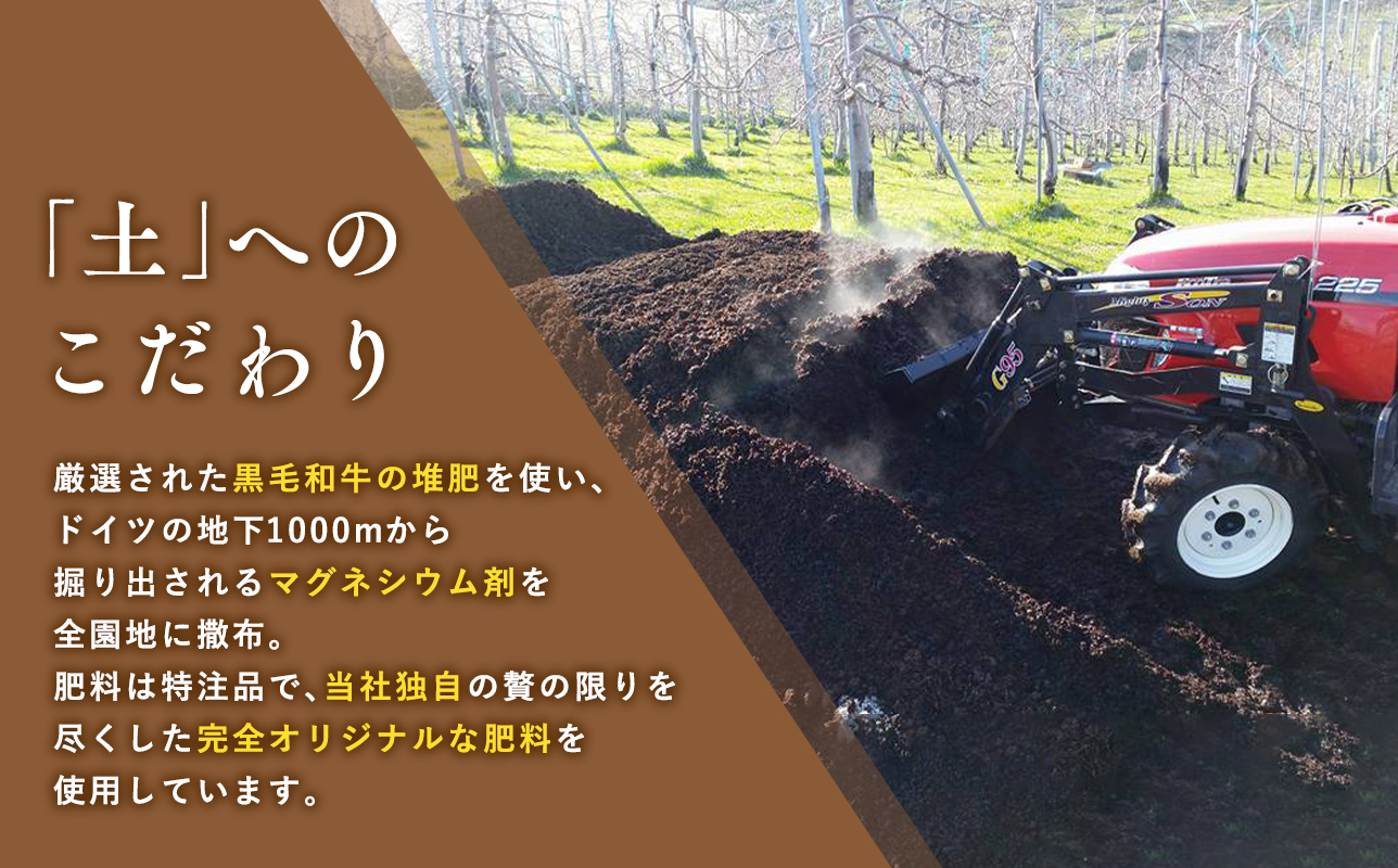 【1月発送】 親子三代最高位のサンふじ約5kg【全国ふじコンテスト最高賞受賞農園・平川市広船産りんご】