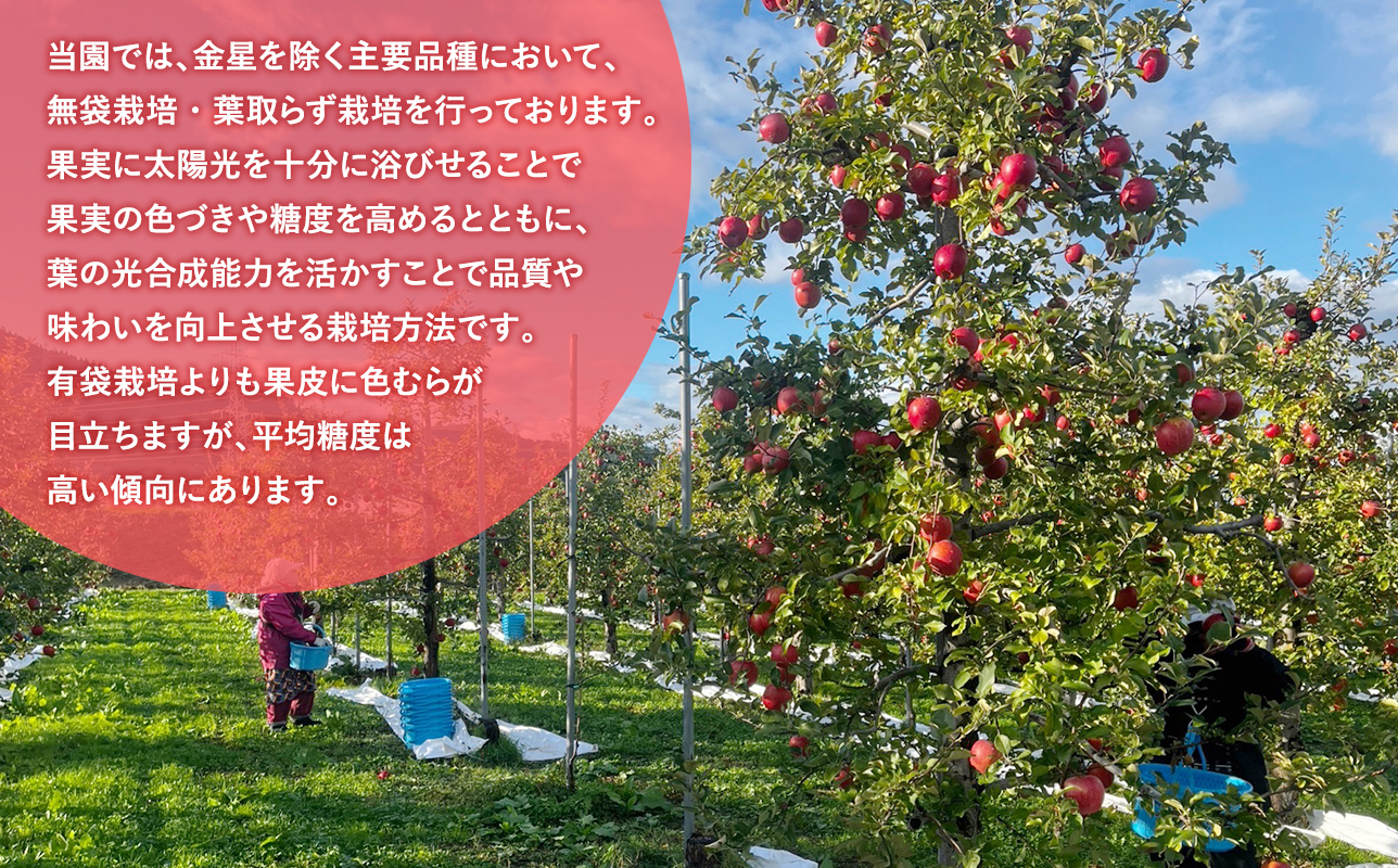 青森県産りんご100％！りんごジュース「太陽mini」180?　５本入【青森県 平川市 そと川りんご園】青森 青森県産 平川 ジュース リンゴジュース 林檎ジュース フルーツジュース 