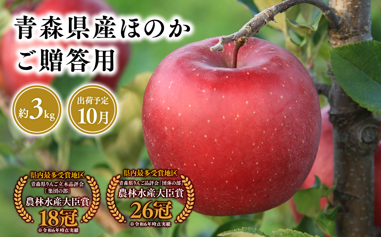 2025年産9月発送　贈答用ほのか3ｋｇ　【そと川りんご園・9月・青森県産・平川市・りんご・ほのか・3ｋｇ・贈答用】
