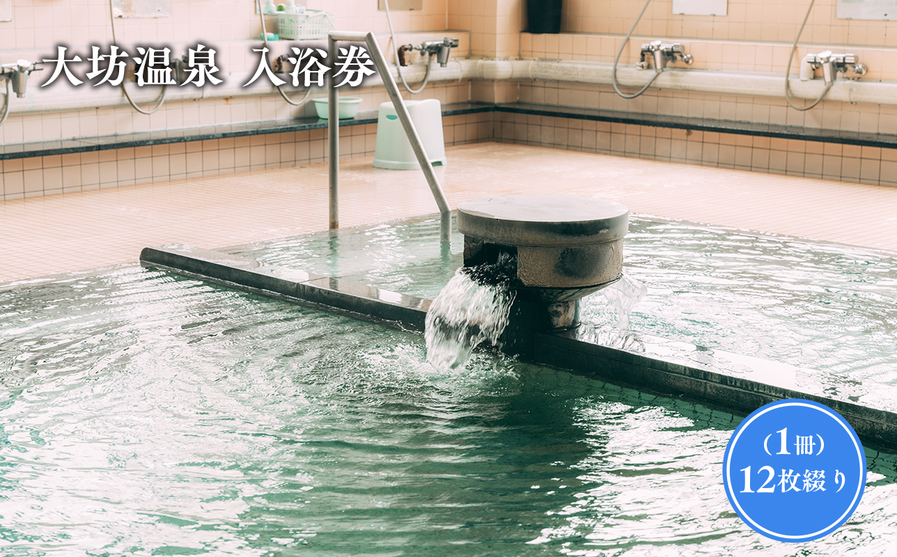 大坊温泉 入浴券12枚綴り1冊