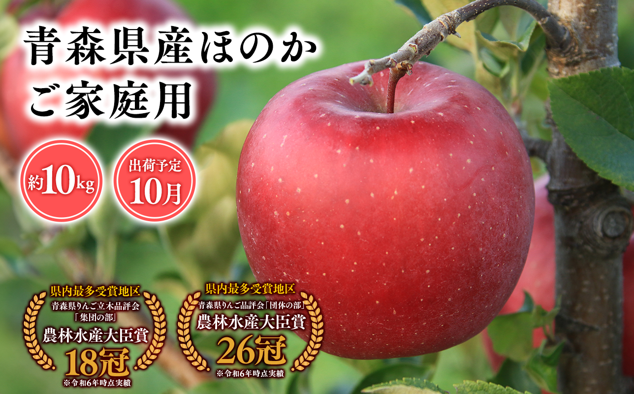 2025年産１０月発送　【訳あり】家庭用ほのか10ｋｇ　【そと川りんご園・１０月・青森県産・平川市・りんご・ほのか・10ｋｇ・訳あり・家庭用】